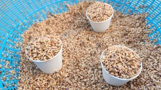 조한솔님의 작성글 사진