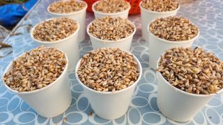 조한솔님의 작성글 사진