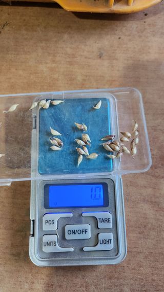 조한솔님의 작성글 사진