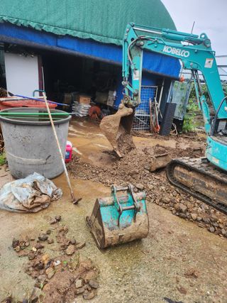 백화산지킴이산야초님의 자유주제 · 자유게시판 작성글 사진