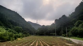 효명 이승배님의 들깨 · 영농일지 작성글 사진