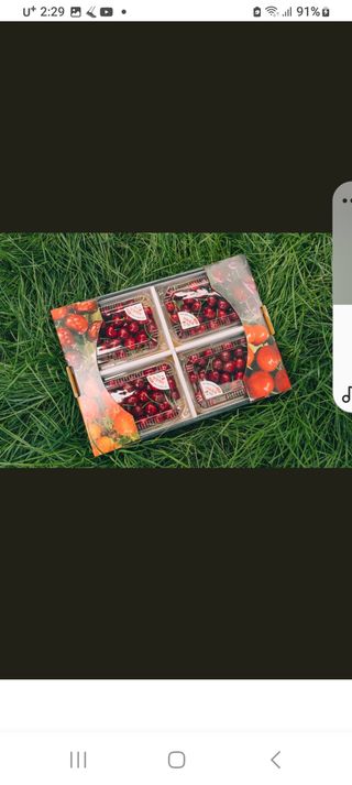 장준호님의 기타작물 · 영농일지 작성글 사진