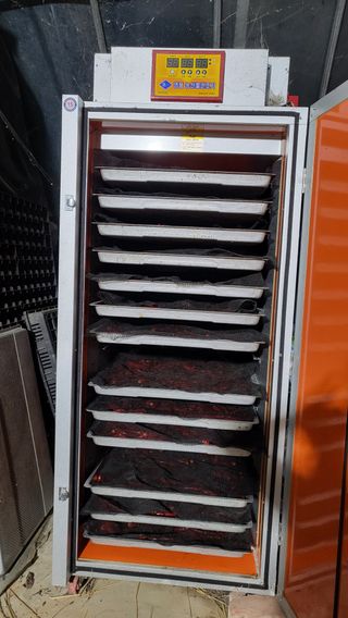 조미숙님의 고추 · 영농일지 작성글 사진