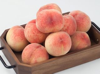 정유진님의 작성글 사진