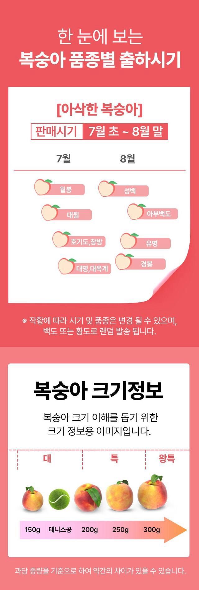 정유진님의 장터 판매 상품 [당찬 아삭 복숭아 9-11입 2kg 대 ] 첨부 사진