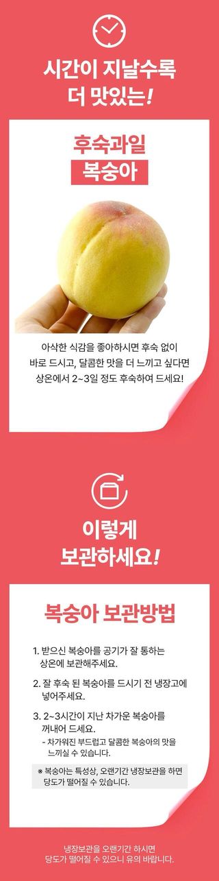 정유진님의 작성글 사진