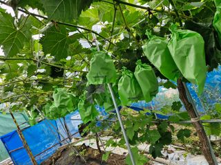 정석구님의 자유주제 · 자유게시판 작성글 사진