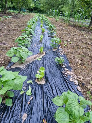 정석구님의 자유주제 · 자유게시판 작성글 사진