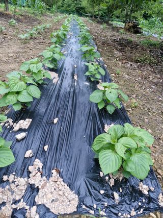 정석구님의 자유주제 · 자유게시판 작성글 사진