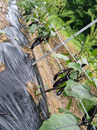 정석구님의 자유주제 · 자유게시판 작성글 사진