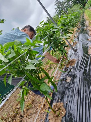 정석구님의 자유주제 · 자유게시판 작성글 사진