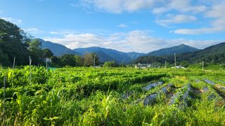 제니 박 상님의 콩 · 영농일지 작성글 사진