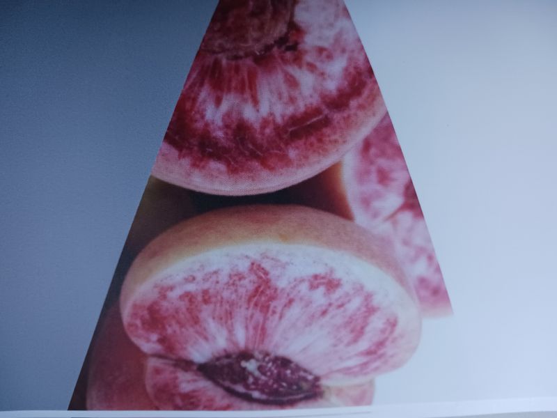 황덕순 님의 장터 판매 상품 [홍천대홍복숭아.특허품종] 첨부 사진