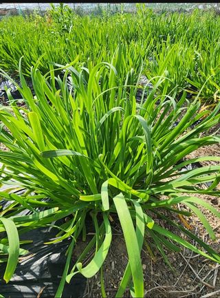 김영준님의 작성글 사진