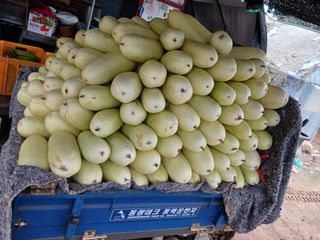 879412님의 오이 · 영농일지 작성글 사진