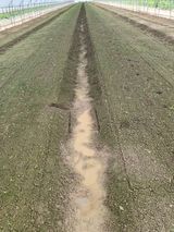 팜모닝 시금치·영농일지 게시글 이미지