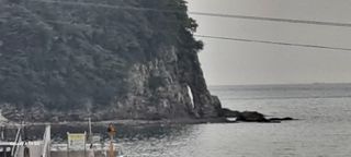 사천시향촌동 돼지띠님의 자유주제 · 자유게시판 작성글 사진