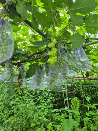 위풍당당님의 자유주제 · 자유게시판 작성글 사진