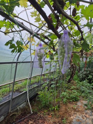 위풍당당님의 자유주제 · 자유게시판 작성글 사진