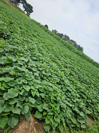 오산토박이(이찬열)님의 자유주제 · 자유게시판 작성글 사진