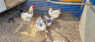 윤필규님의 자유주제 · 자유게시판 작성글 사진