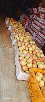 팜모닝 복숭아·영농일지 게시글 이미지