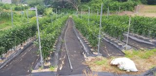 최대영님의 자유주제 · 자유게시판 작성글 사진