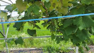 이종선님의 자유주제 · 자유게시판 작성글 사진