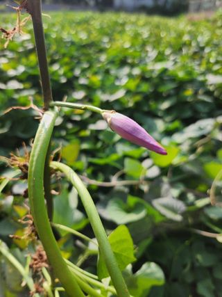 조현미님의 자유주제 · 자유게시판 작성글 사진