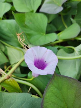 조현미님의 자유주제 · 자유게시판 작성글 사진