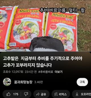 대산농사대장님의 고추 · 비료•농약 작성글 사진
