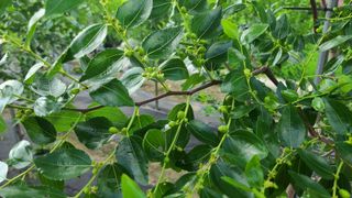 곰세마리님의 자유주제 · 자유게시판 작성글 사진