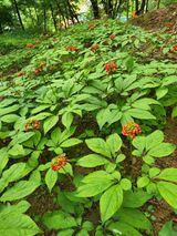 팜모닝 자유주제·자유게시판 게시글 이미지