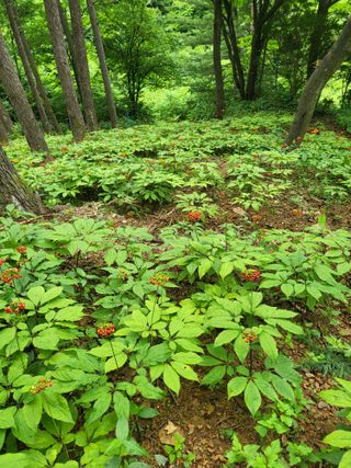 허상원 님의 자유주제 · 자유게시판 작성글 사진