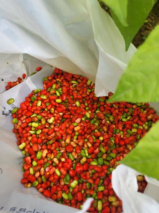 허상원 님의 자유주제 · 자유게시판 작성글 사진