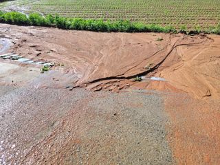 장남복님의 🍗삼복 보양식 추천해요! · 참여글 작성글 사진