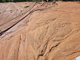 장남복님의 🍗삼복 보양식 추천해요! · 참여글 작성글 사진