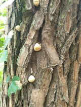 팜모닝 자유주제·자유게시판 게시글 이미지