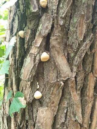 김가네님의 자유주제 · 자유게시판 작성글 사진