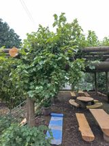 팜모닝 자유주제·자유게시판 게시글 이미지