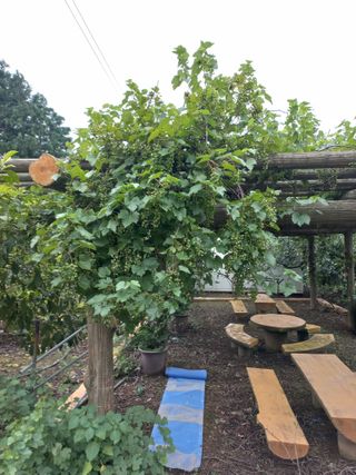 느랫골농장 가족님의 자유주제 · 자유게시판 작성글 사진