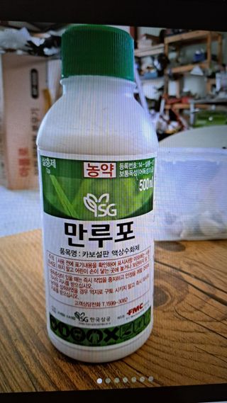 주윤발이님의 작성글 사진