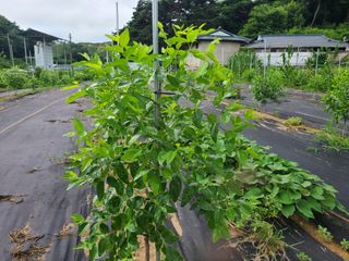 전홍열님의 자유주제 · 자유게시판 작성글 사진