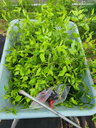 전홍열님의 자유주제 · 자유게시판 작성글 사진