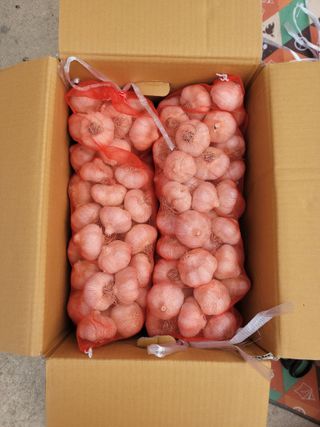 다둥이네농장님의 자유주제 · 자유게시판 작성글 사진