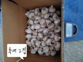 다둥이네농장님의 자유주제 · 자유게시판 작성글 사진