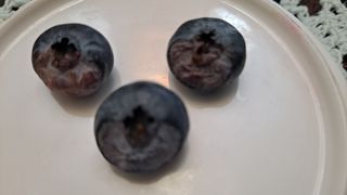 늘보농장님의 농사, 무엇이든 물어보세요! · 참여글 작성글 사진