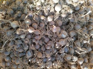 산들농장님의 작성글 사진