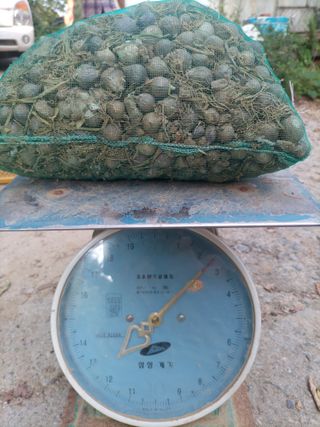 산들농장님의 작성글 사진