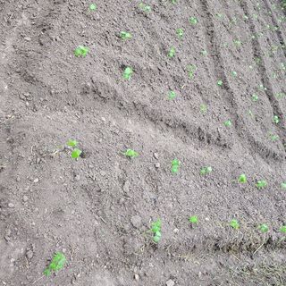 백용기님의 자유주제 · 자유게시판 작성글 사진